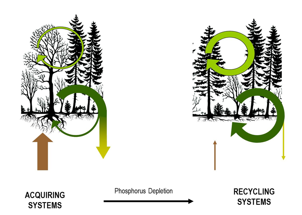 Hypothese_SPP1685.png