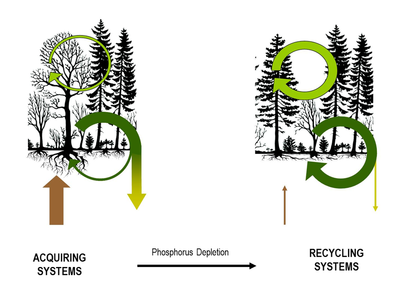 Hypothese_SPP1685.png